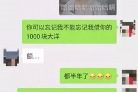 桂阳债务清欠服务